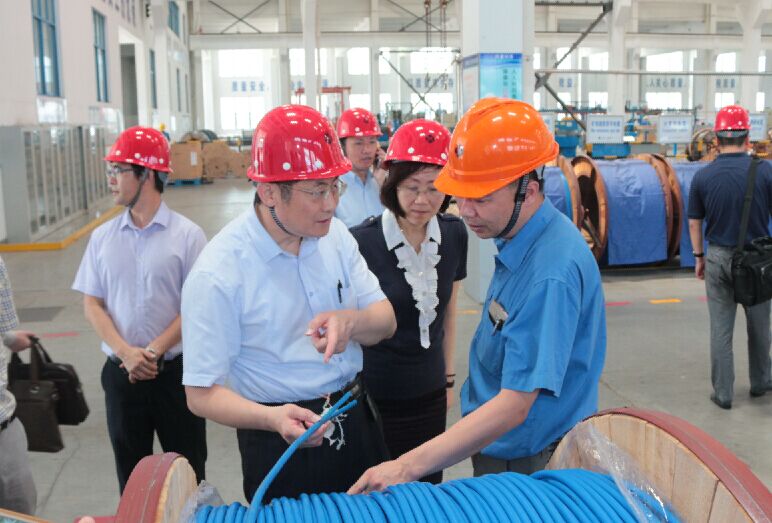2016年7月22日，瀘州市委常委、副市長王建翔一行來上上電纜參觀考察