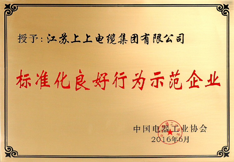 標(biāo)準(zhǔn)先行促發(fā)展，上上電纜再獲殊榮