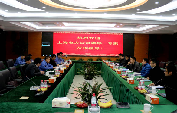上海電力公司、上纜所領(lǐng)導(dǎo)、專家一行來(lái)上上電纜交流考察