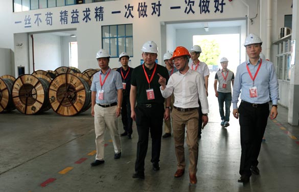靖江市、溧陽(yáng)市青商會(huì)齊聚上上電纜參觀交流