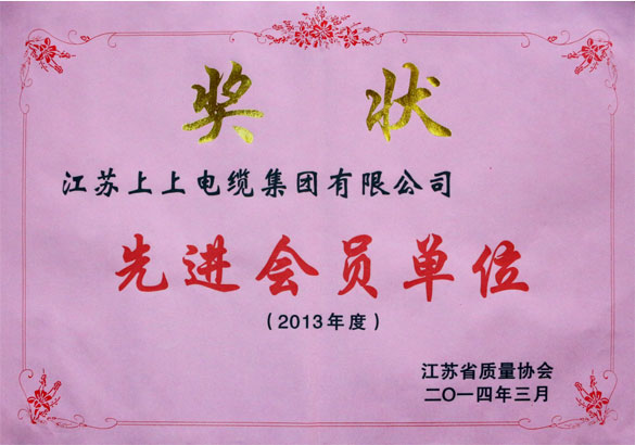 上上集團(tuán)榮獲江蘇省質(zhì)量協(xié)會(huì)2013年度“先進(jìn)會(huì)員單位”稱號(hào)