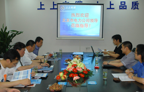 北京市電力公司領(lǐng)導(dǎo)來上上集團參觀考察