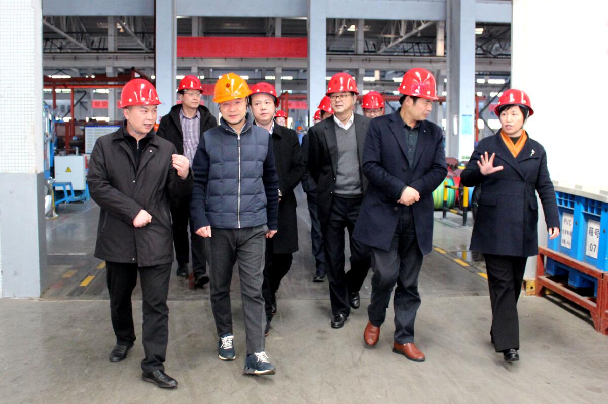 2019年3月7日，廣安市岳池縣考察團(tuán)來(lái)上上電纜參觀考察